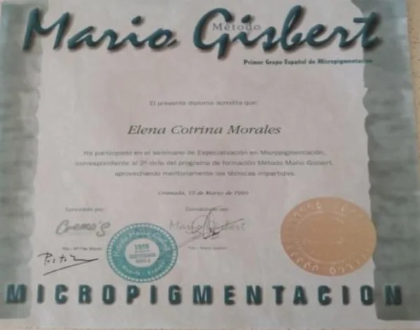 Diplomas and certificates of Elena Cotrina